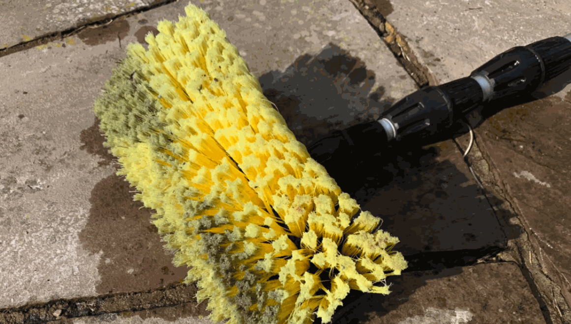 Lichen Clening Tool